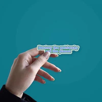 Destroy the Patriarchy not the planet sticker waterproof vinyl decal for laptop, bike, car & bottle