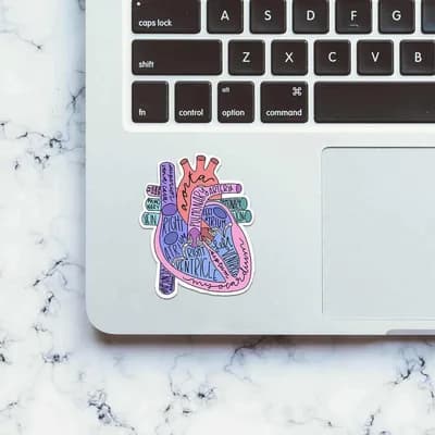 Anatomy Of Heart Sticker waterproof vinyl decal for laptop, bike, car & bottle
